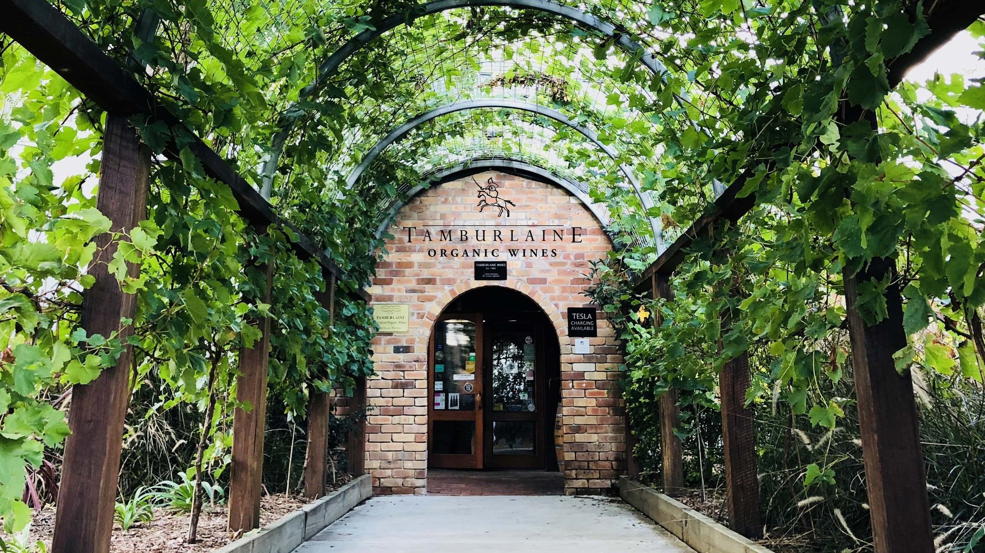 Tamburlaine Organic Wines winery in Hunter Valley, Australia