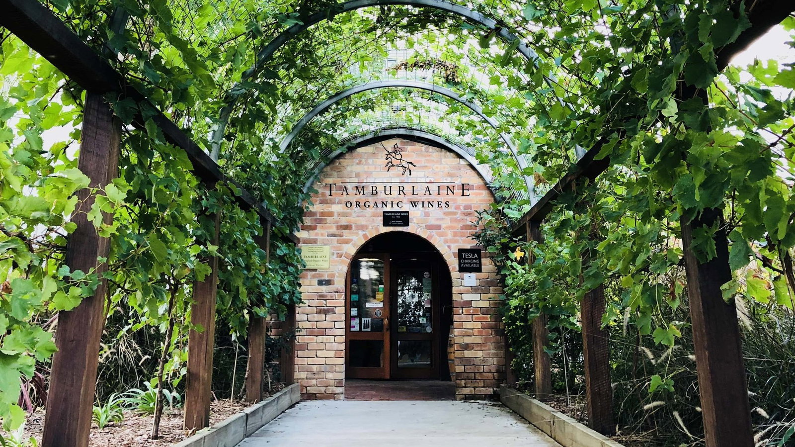 Tamburlaine Organic Wines