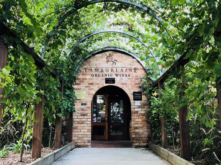 Tamburlaine Organic Wines, Hunter Valley, Australia