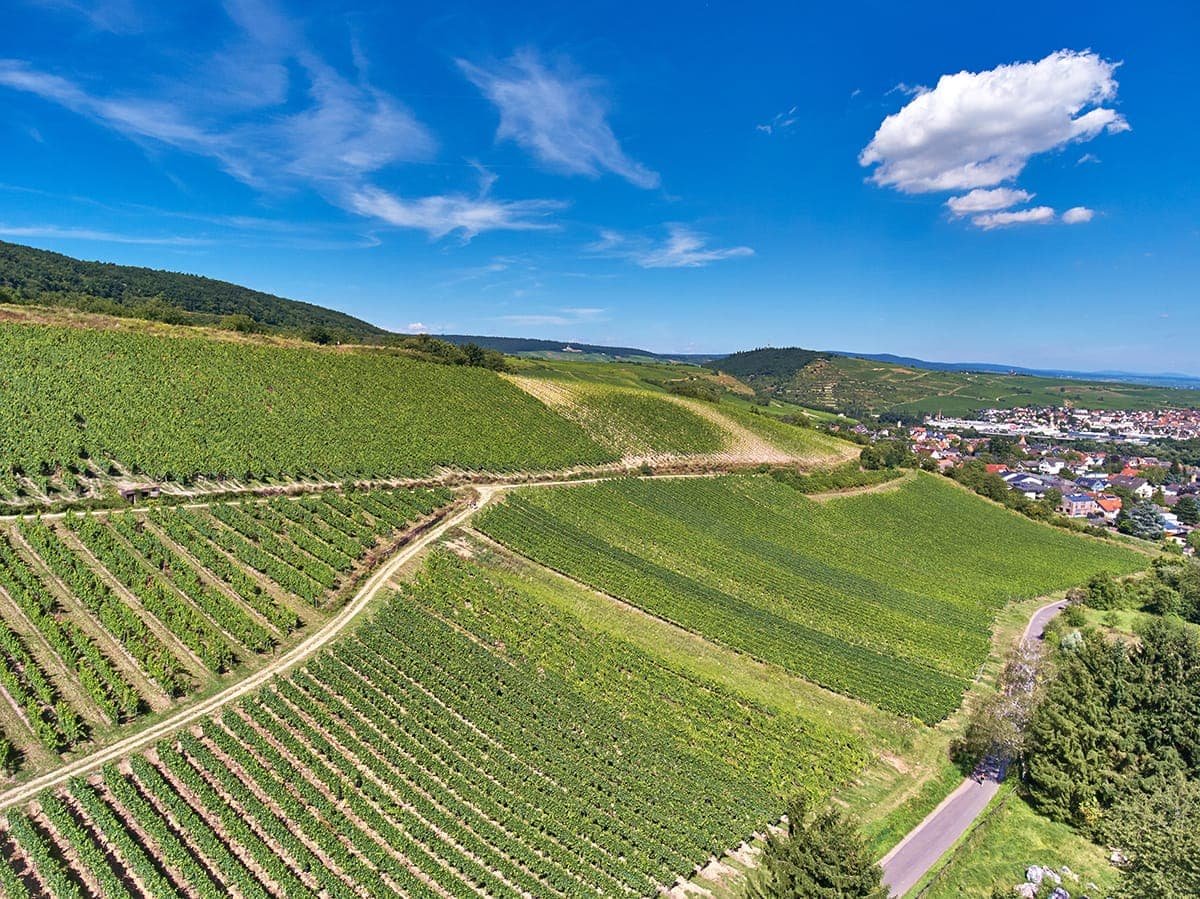 Weingut Kruger-Rumpf winery in Münster-Sarmsheim, Germany