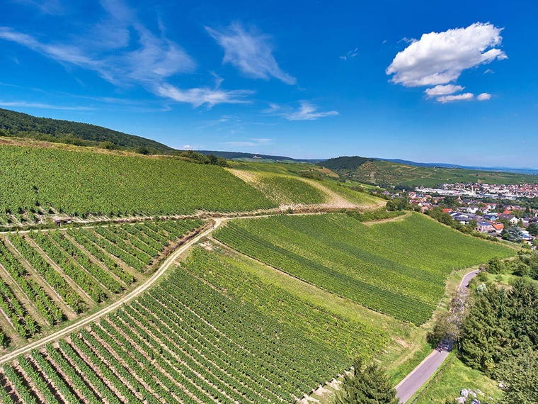 Weingut Kruger-Rumpf, Münster-Sarmsheim, Germany