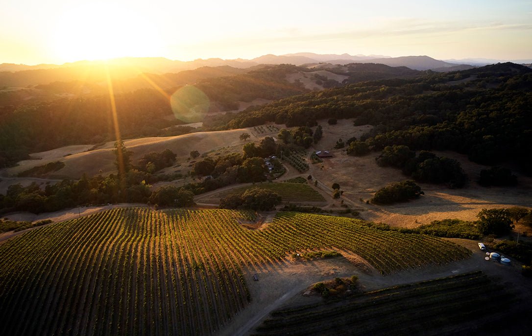 Desparada Wines winery in Paso Robles, United States