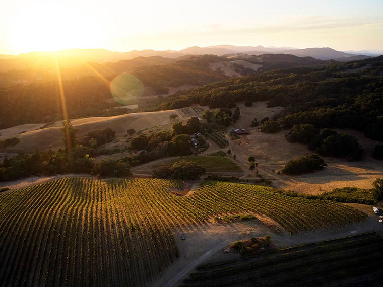 Desparada Wines, Paso Robles, United States