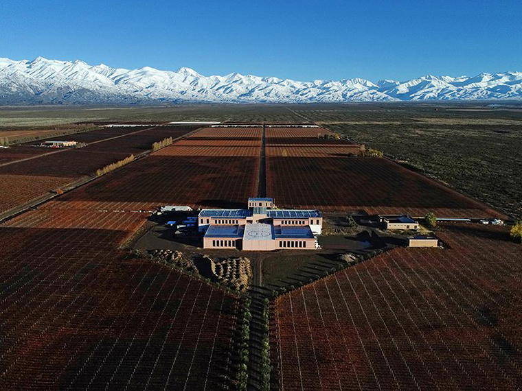 Rutini Wines (La Rural), Tupungato, Argentina