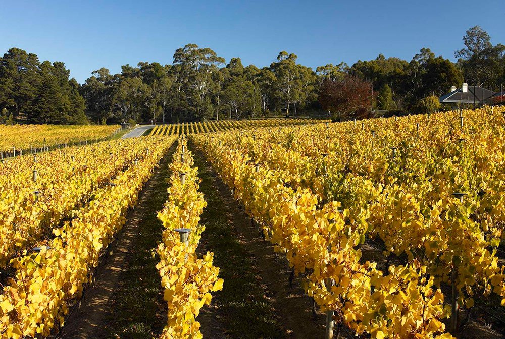Tapanappa, Piccadilly Valley, Australia