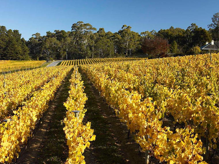 Tapanappa, Piccadilly Valley, Australia