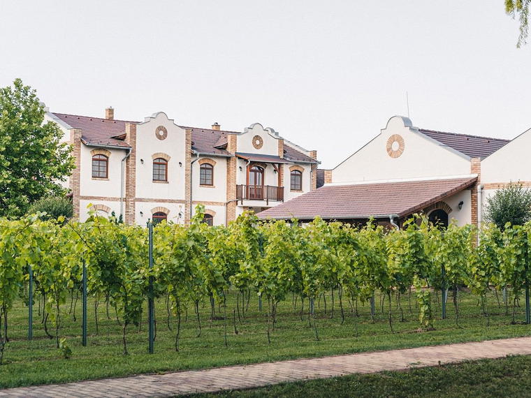 Koch Winery, Borota, Hungary