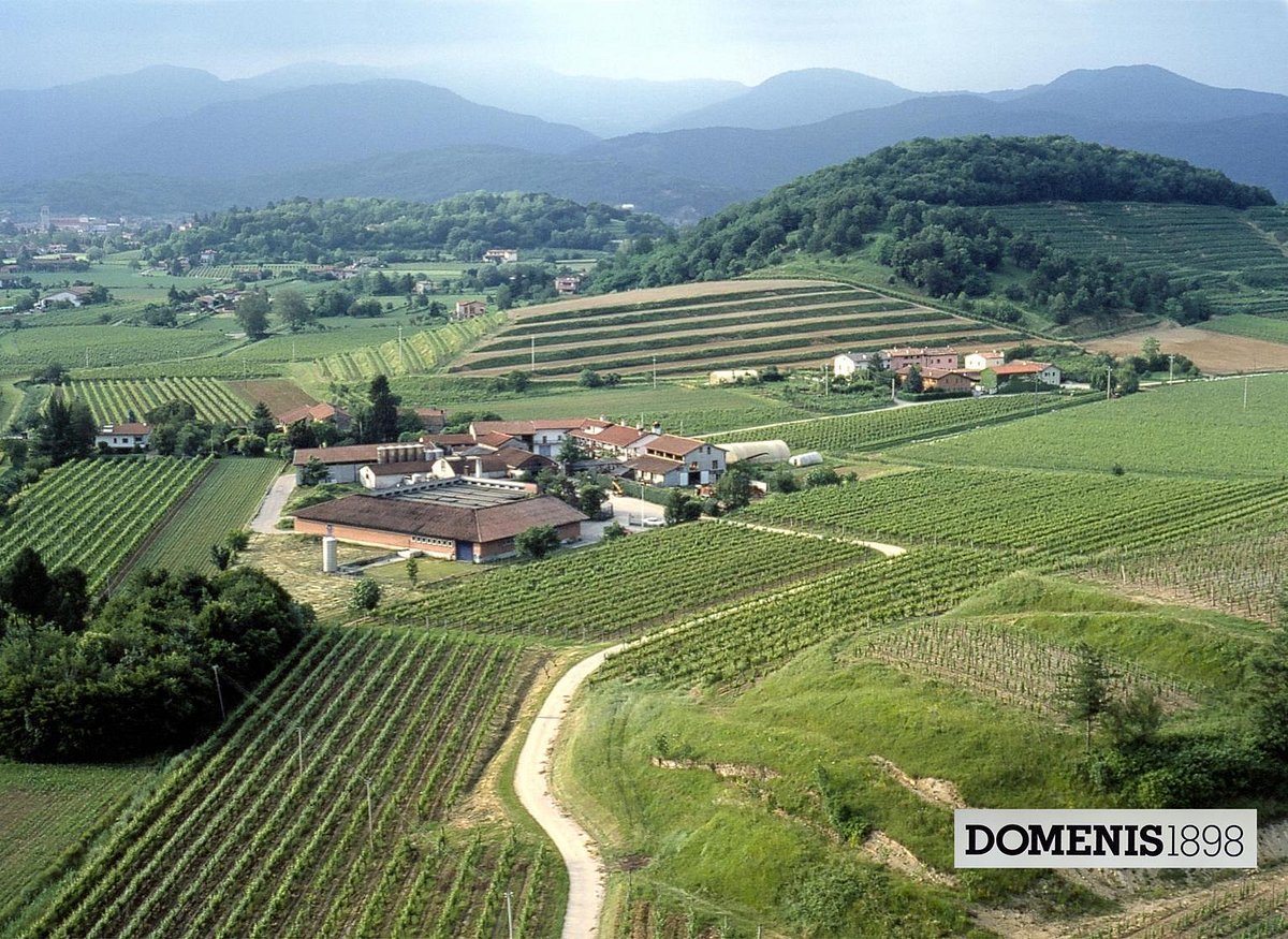 Domenis 1898 winery in Cividale del Friuli, Italy