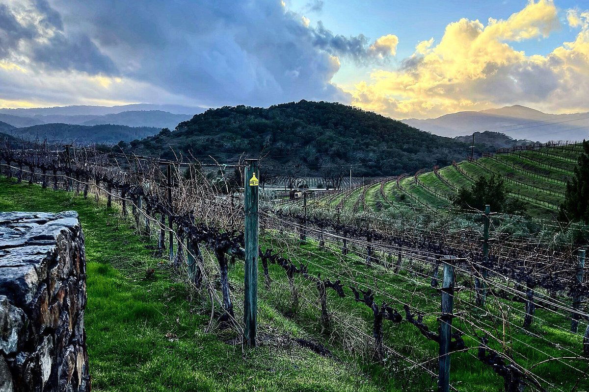 Vine Cliff Winery, Winery in St. Helena