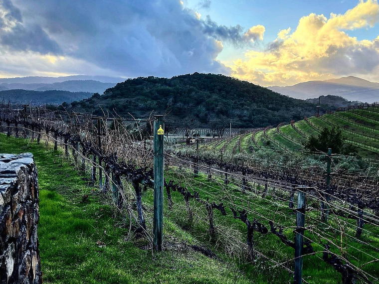 Vine Cliff Winery, St. Helena, United States