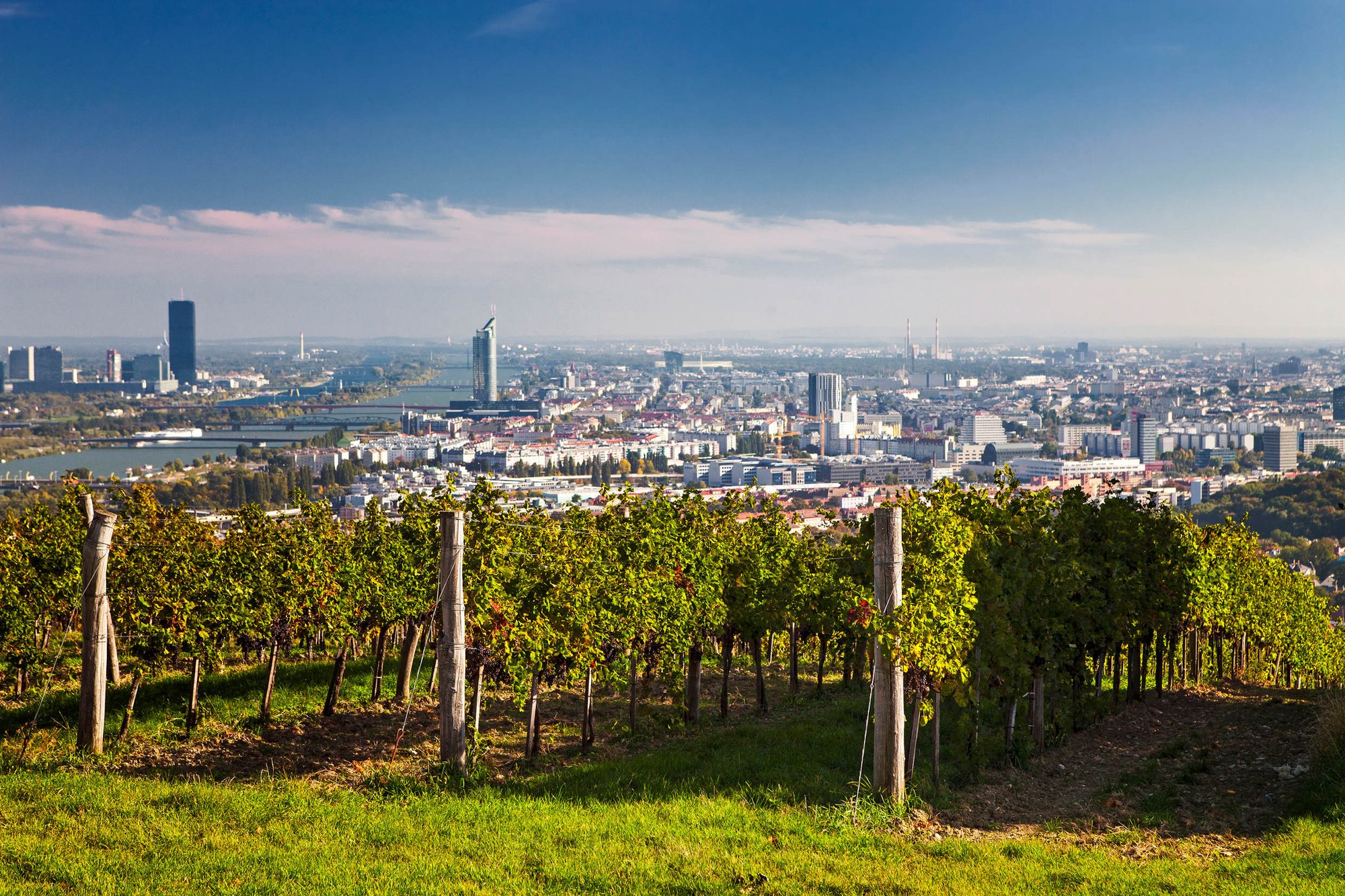 Weingut Fritz Wieninger winery in Vienna, Austria