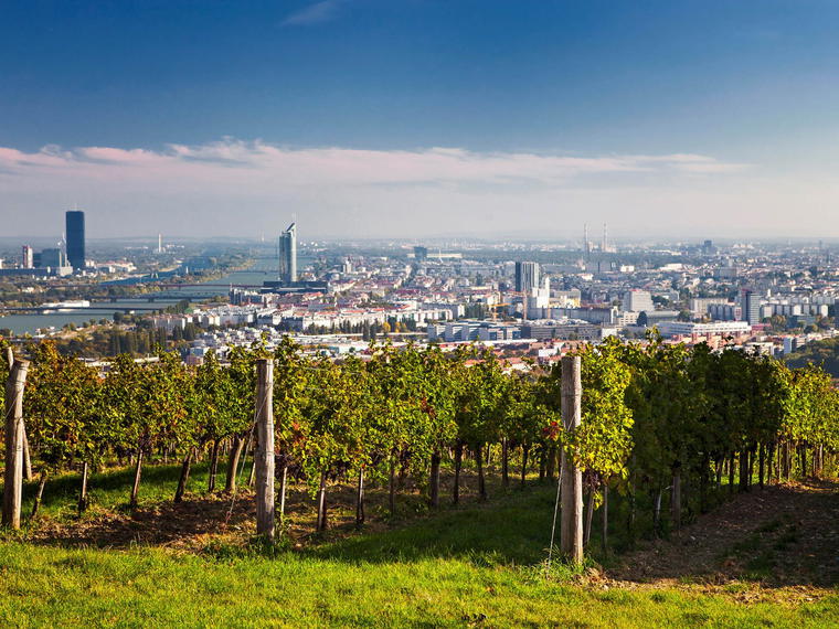 Weingut Fritz Wieninger, Vienna, Austria