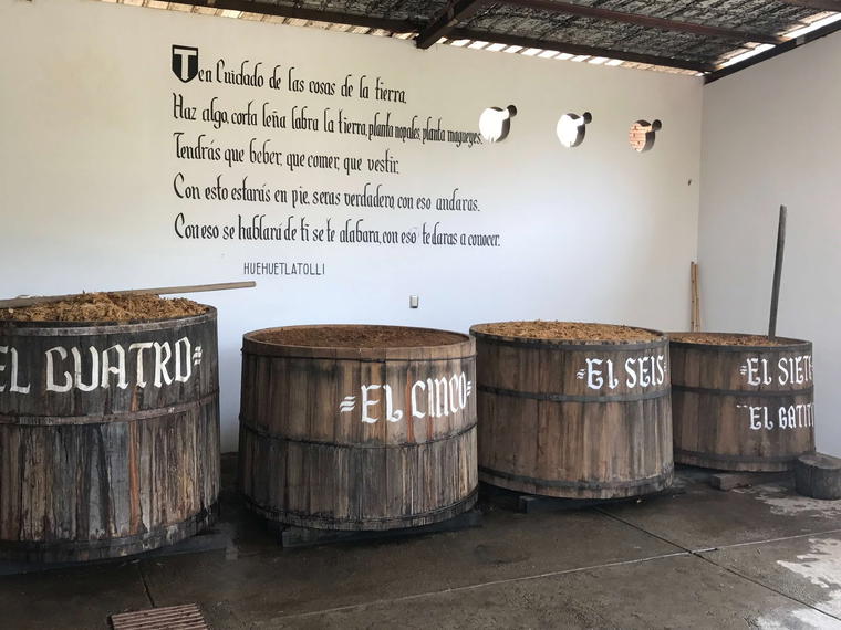 Real Minero, Santa Catarina Minas, Mexico