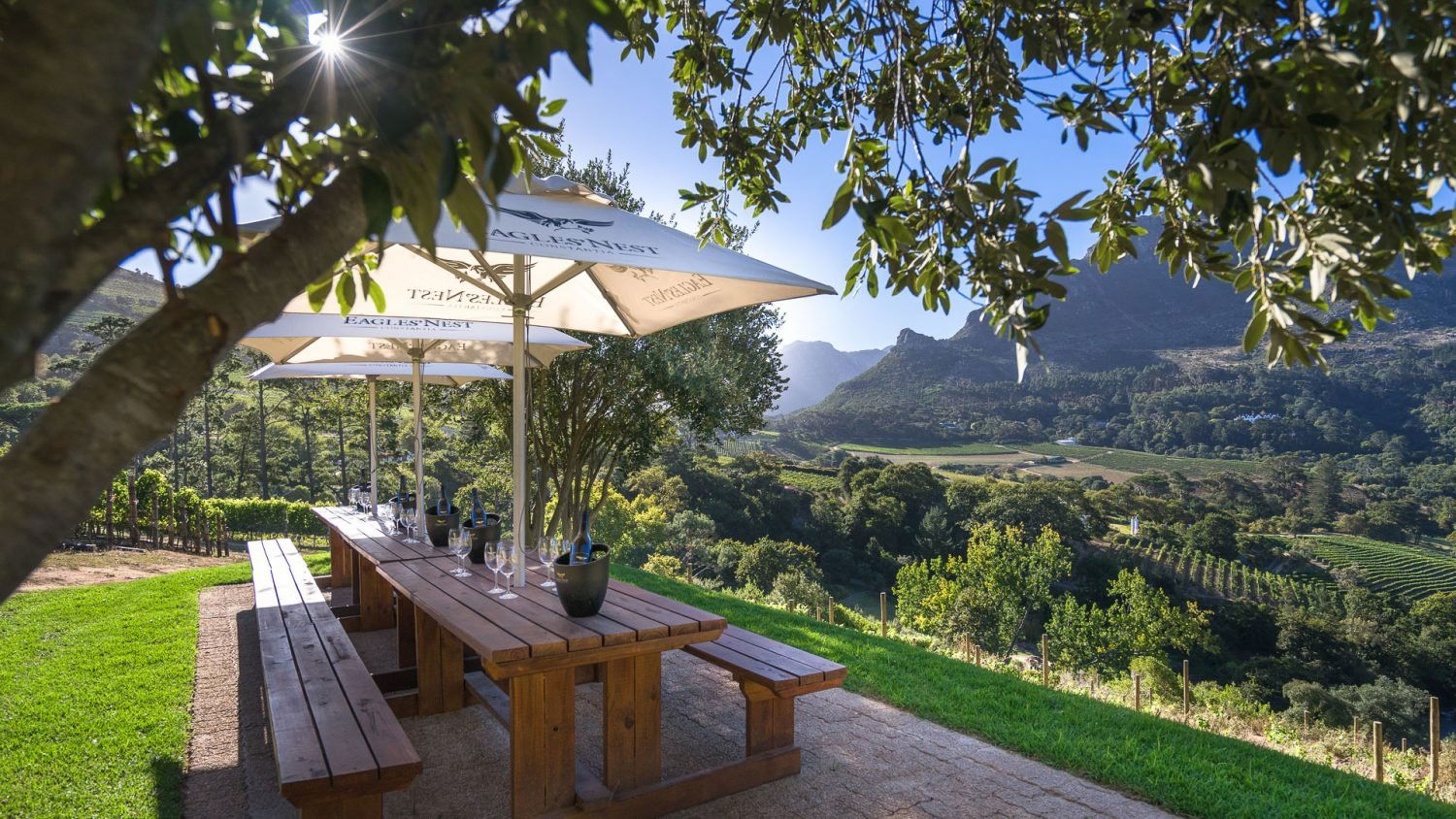 Eagles’ Nest Wines, Winery in Cape Town