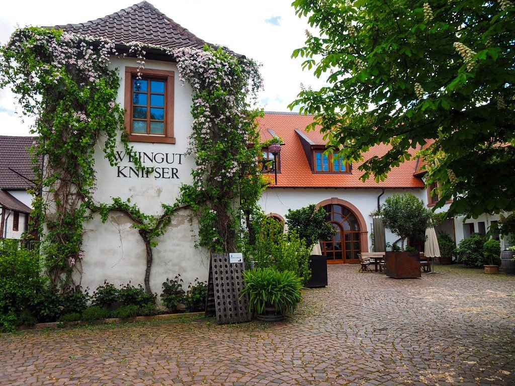 Weingut Knipser winery in Laumersheim, Germany