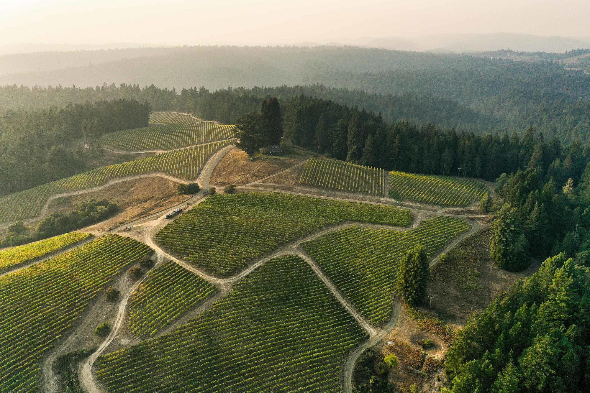 Peay Vineyards winery in Cloverdale