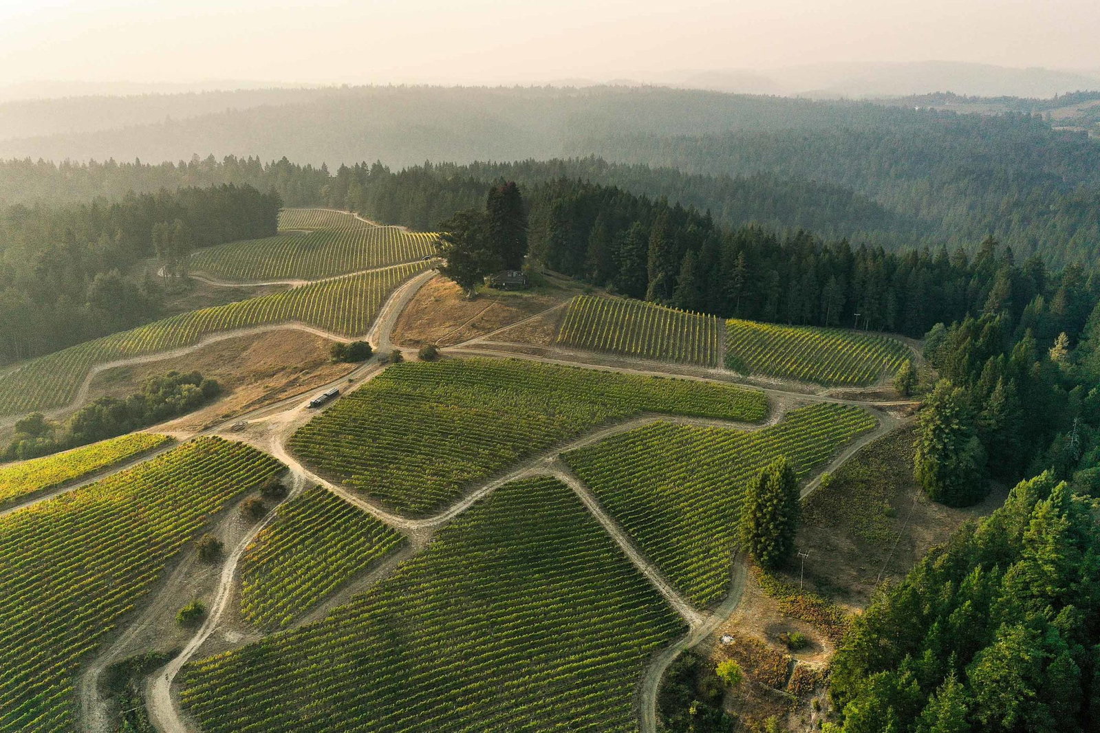 Peay Vineyards