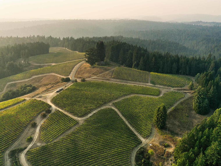 Peay Vineyards, Cloverdale, United States