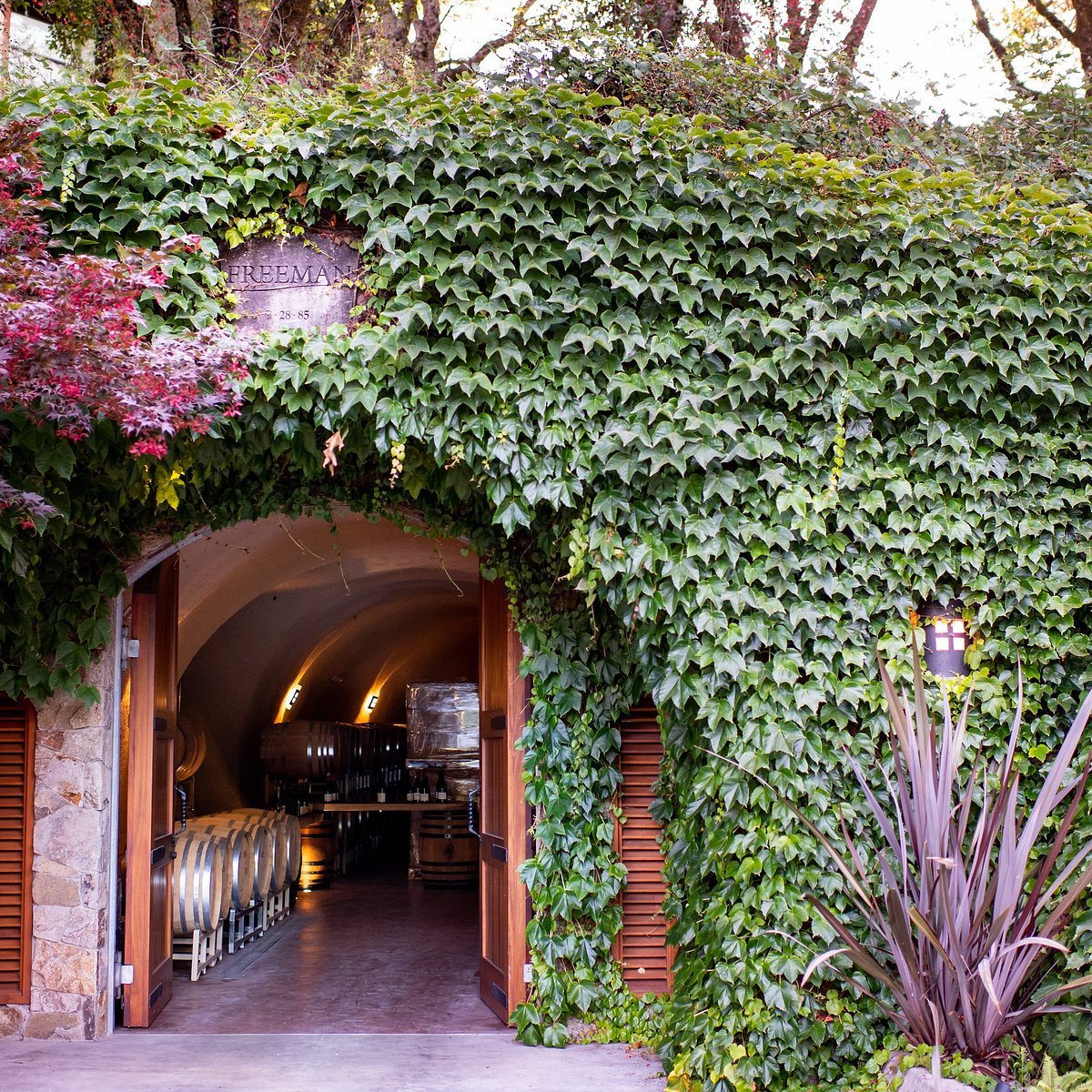 Freeman Vineyard & Winery winery in Sebastopol, United States