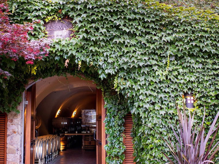 Freeman Vineyard & Winery, Sebastopol, United States