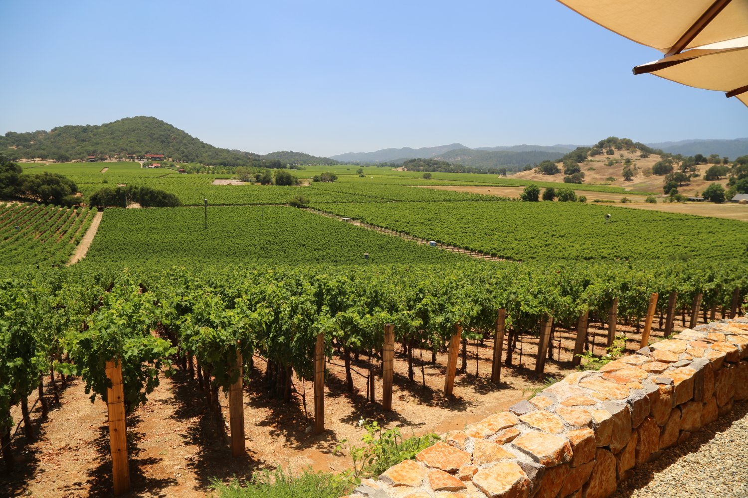 Gargiulo Vineyards winery in Oakville, United States