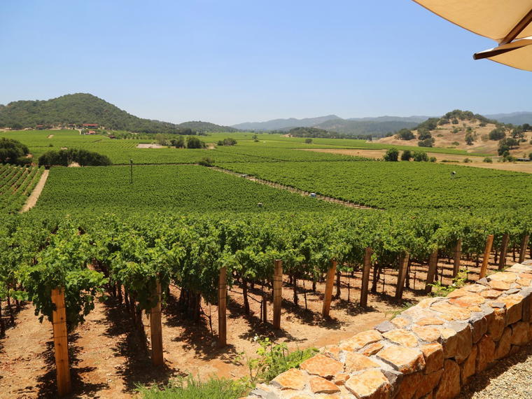 Gargiulo Vineyards, Oakville, United States