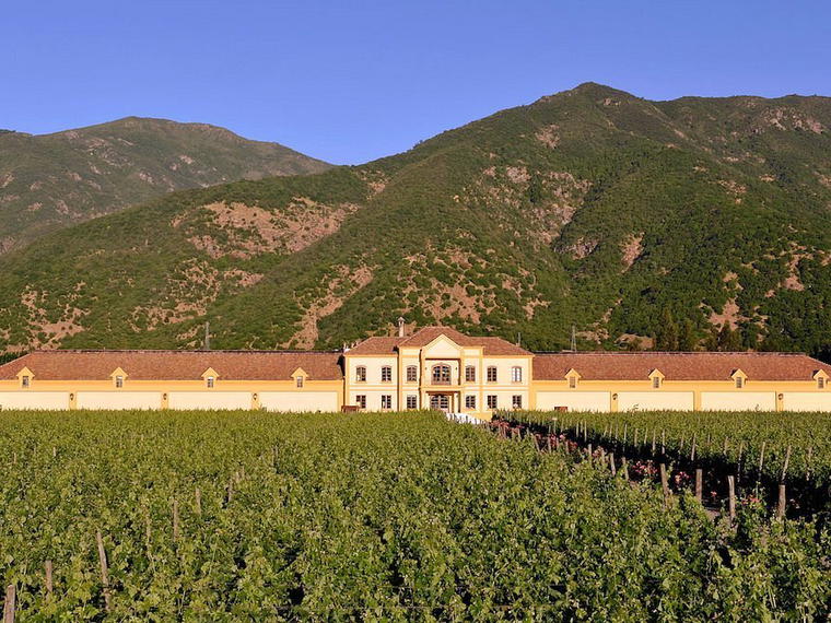 Viña Koyle, Colchagua, Chile