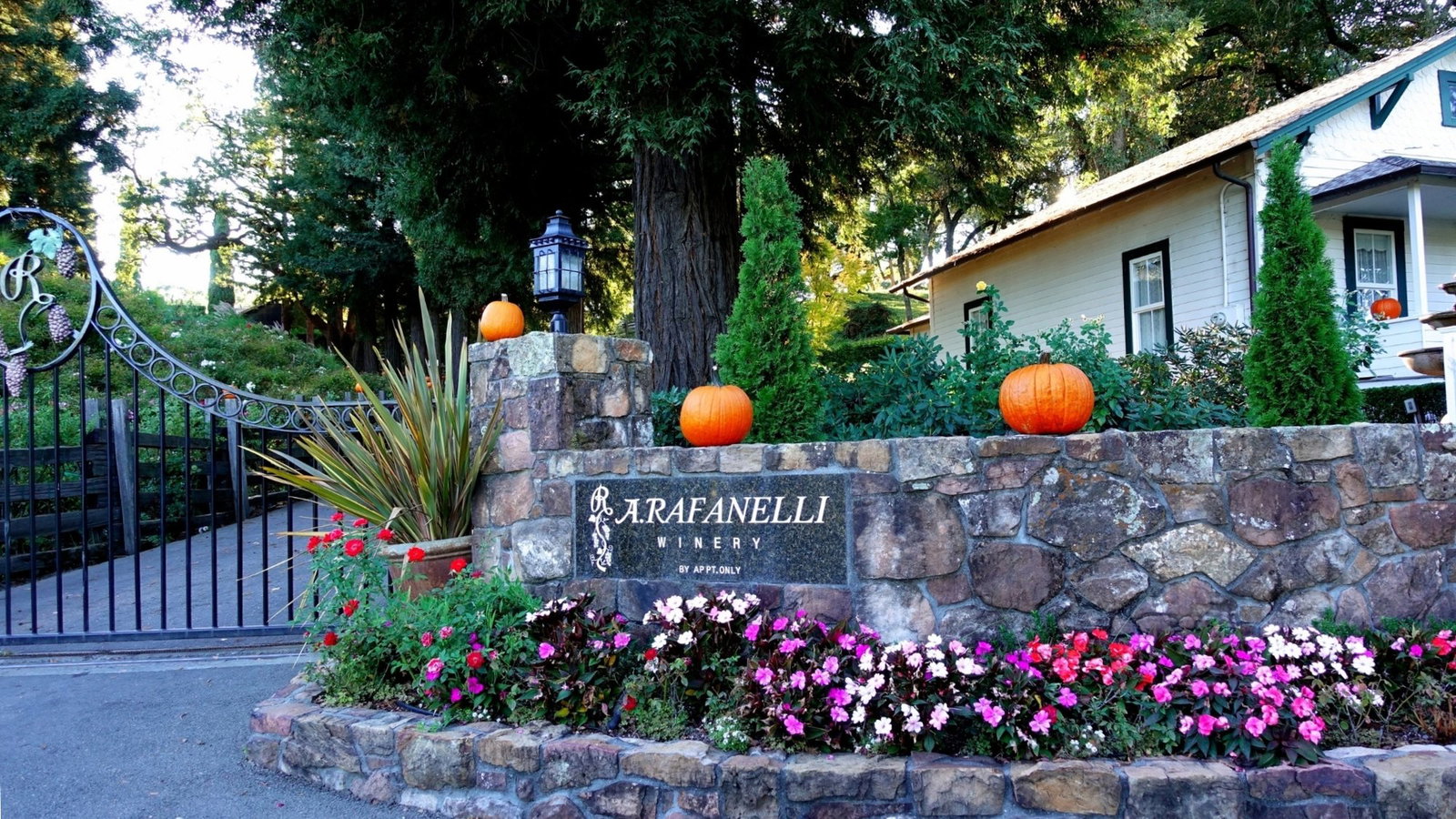 A. Rafanelli Winery, Healdsburg, United States