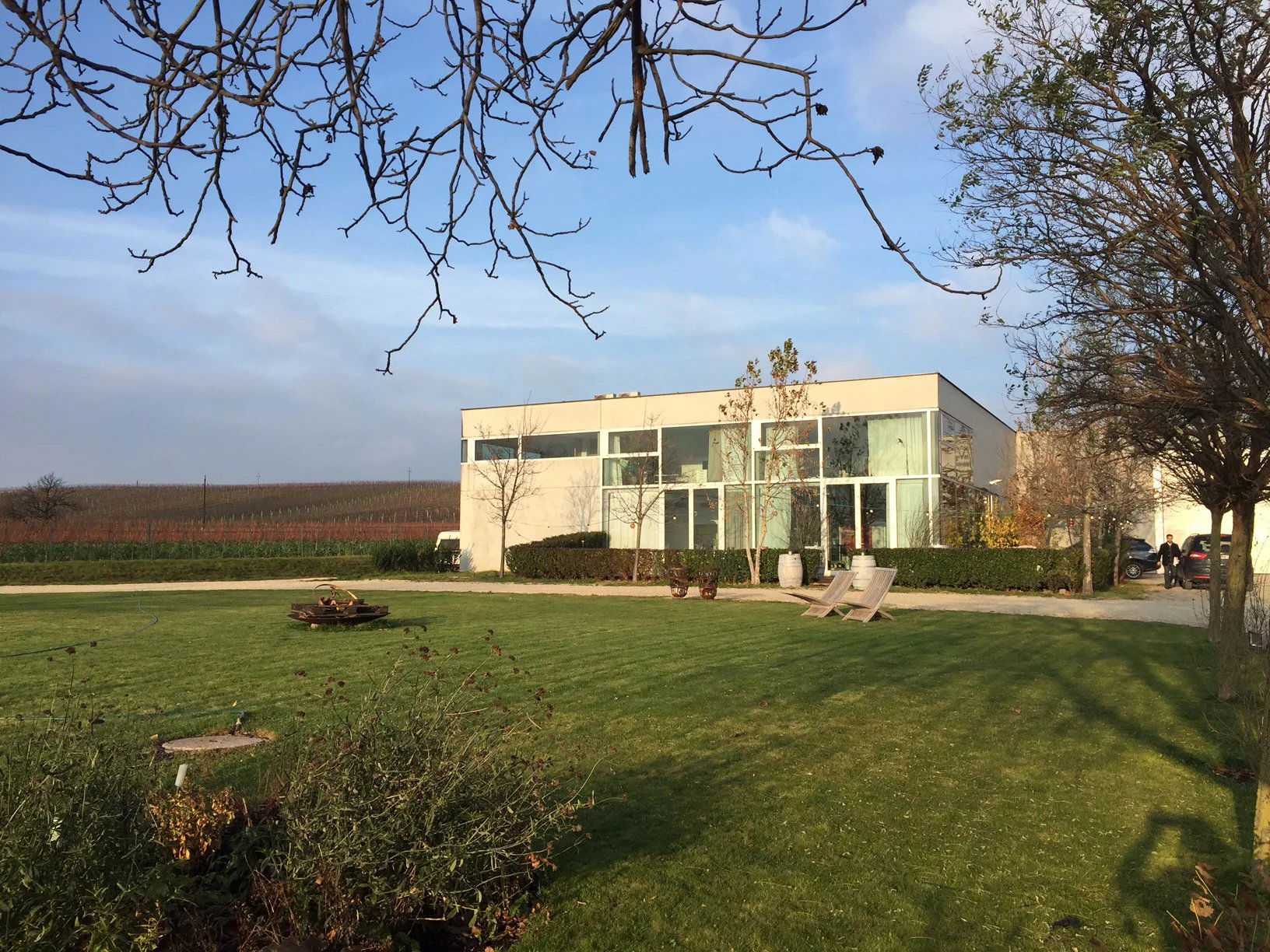 Weingut Pittnauer winery in Gols, Austria