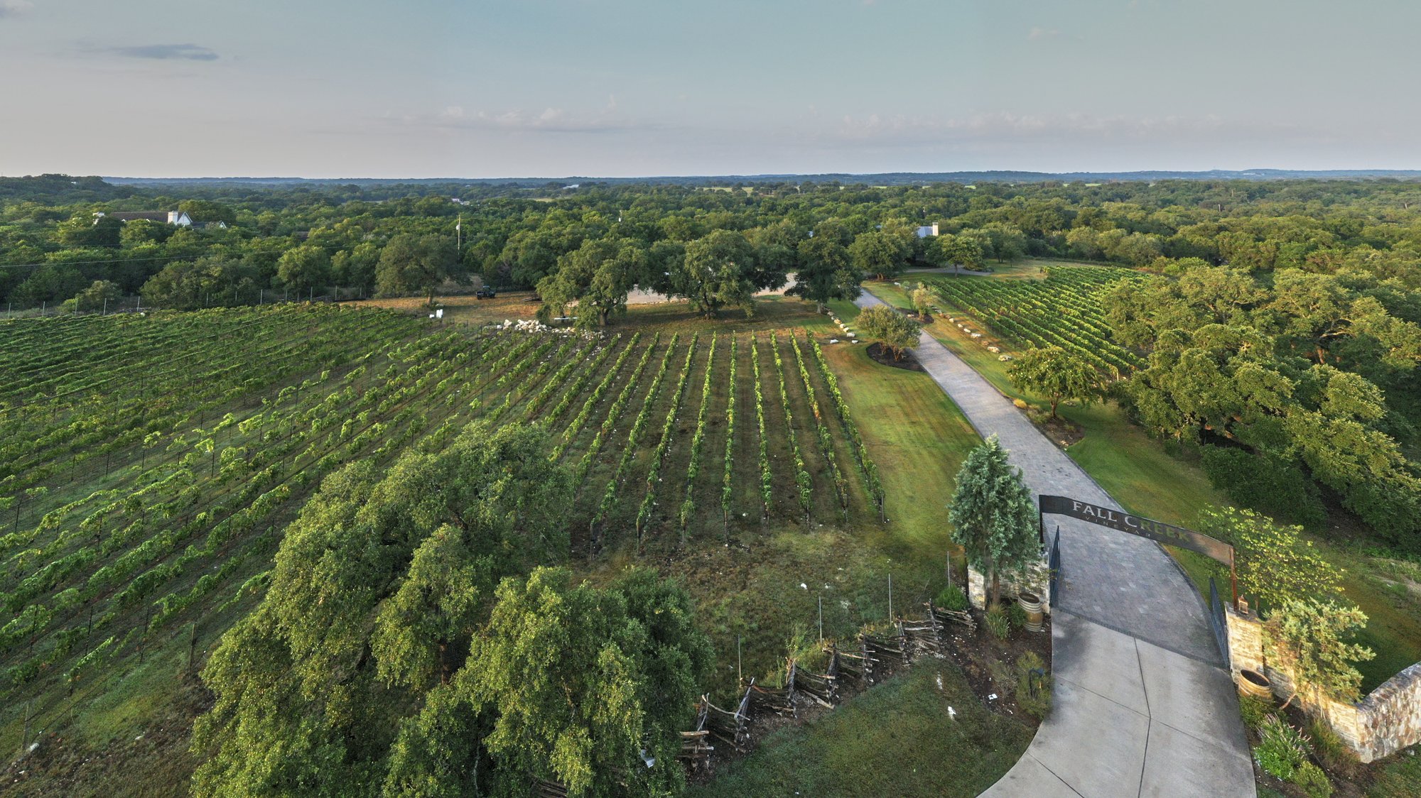 Fall Creek Vineyards winery in Tow, United States