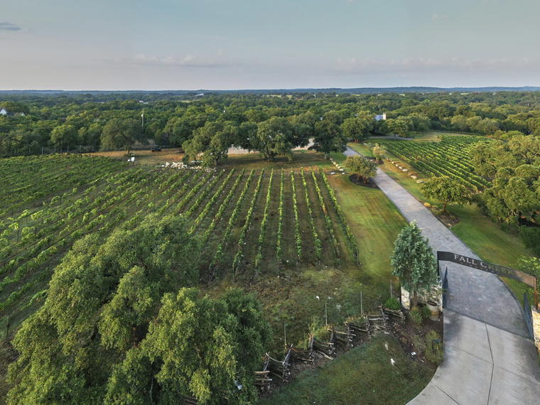 Fall Creek Vineyards, Tow, United States