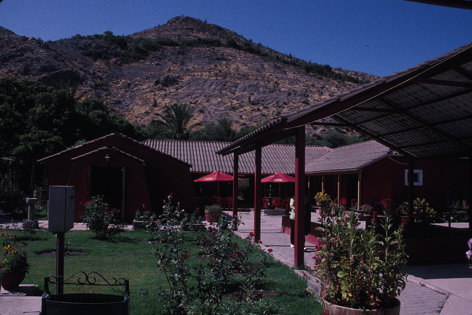 Capel Pisco Plant