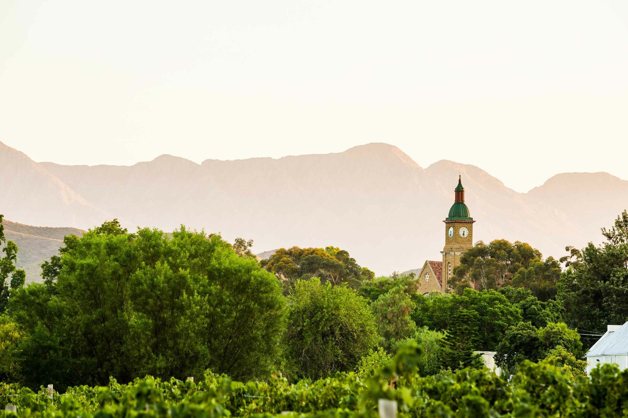 Boplaas Winery & Distillery winery in Calitzdorp, South Africa