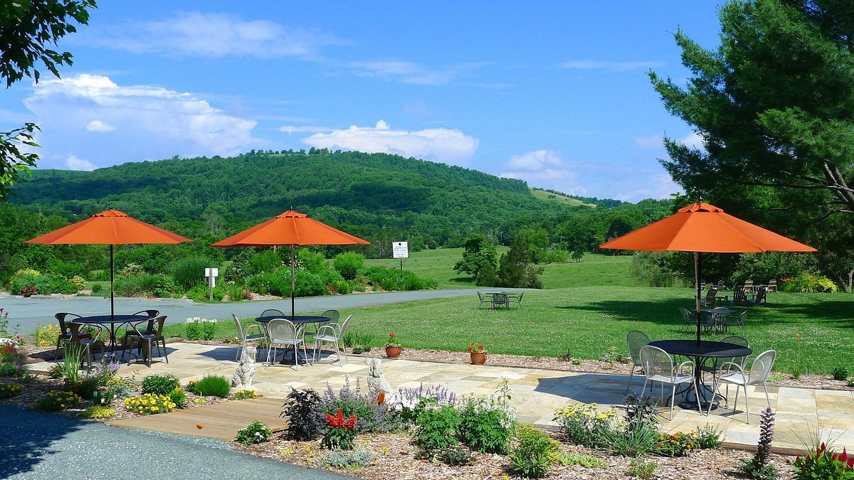 Jefferson Vineyards winery in Charlottesville, United States