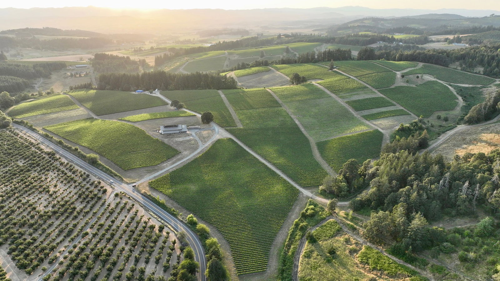 Shea Wine Cellars, Newberg, United States