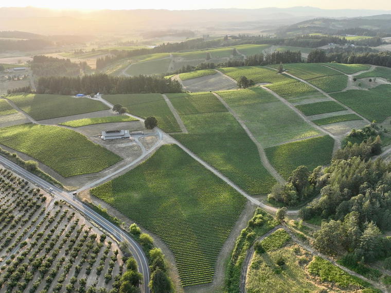 Shea Wine Cellars, Newberg, United States