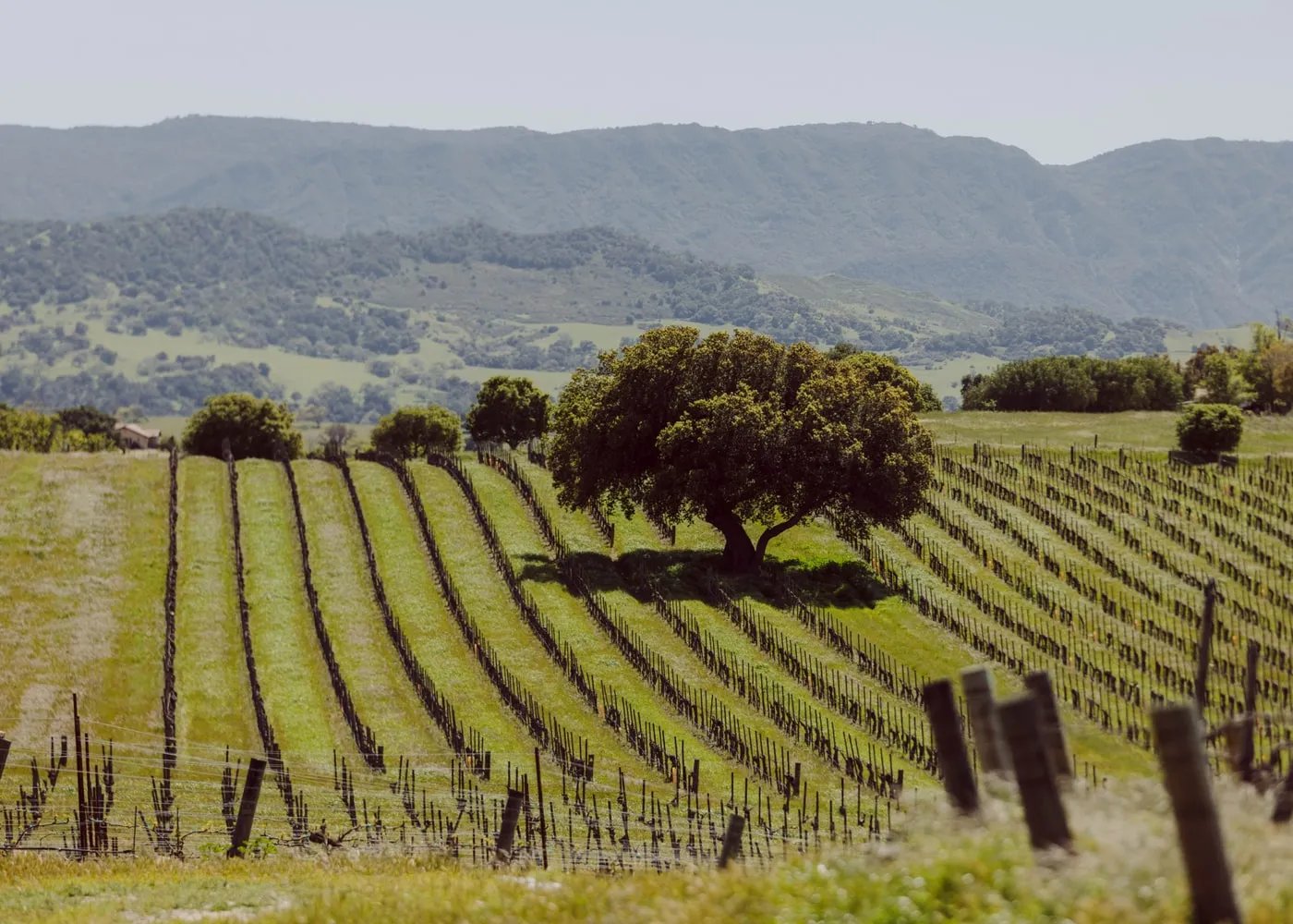 Buttonwood Farm Winery