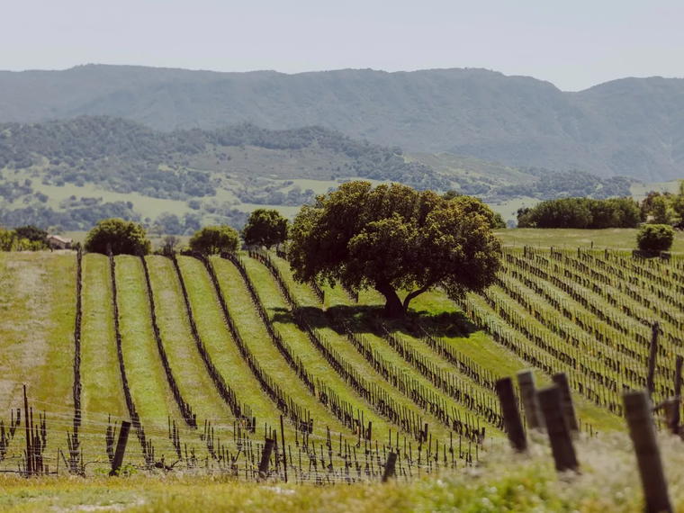 Buttonwood Farm Winery, Solvang, United States