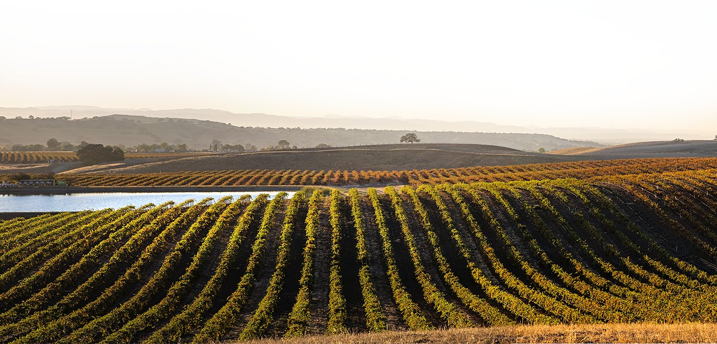 Broken Earth Winery, Paso Robles, United States