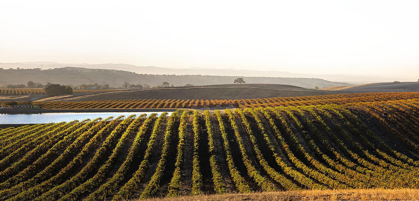 Broken Earth Winery winery in Paso Robles, United States