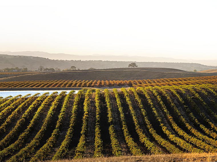 Broken Earth Winery, Paso Robles, United States