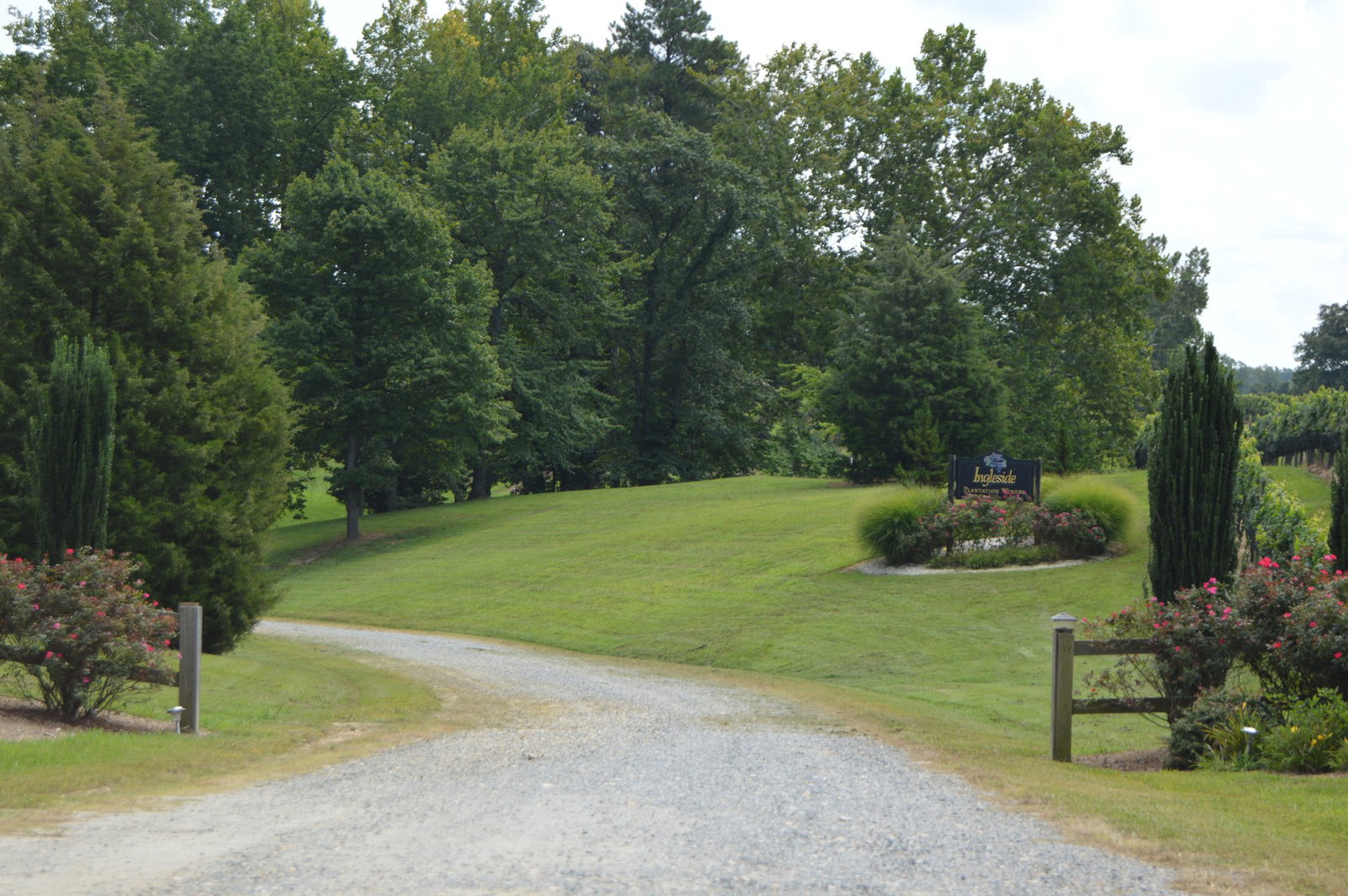 Ingleside Vineyards