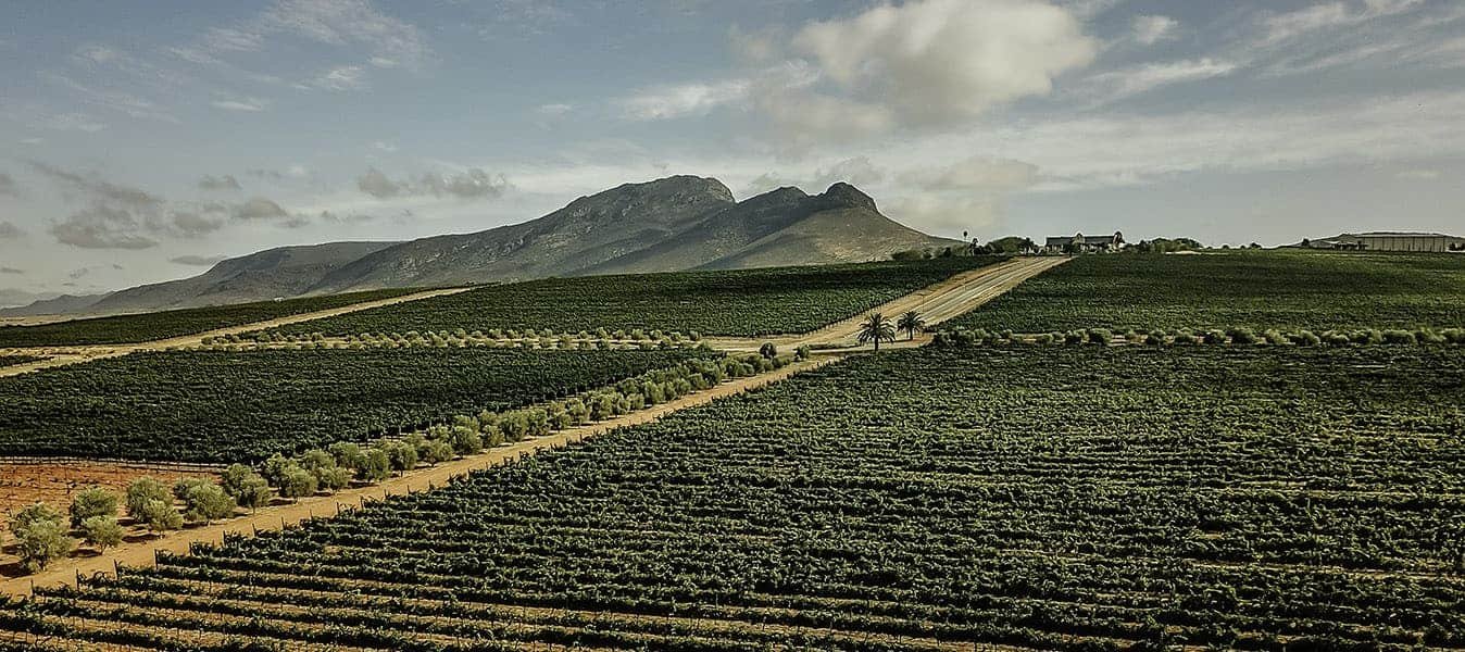 Org de Rac Organic Wines winery in Swartland, South Africa