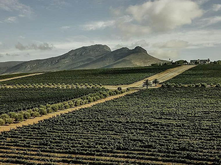 Org de Rac Organic Wines, Swartland, South Africa