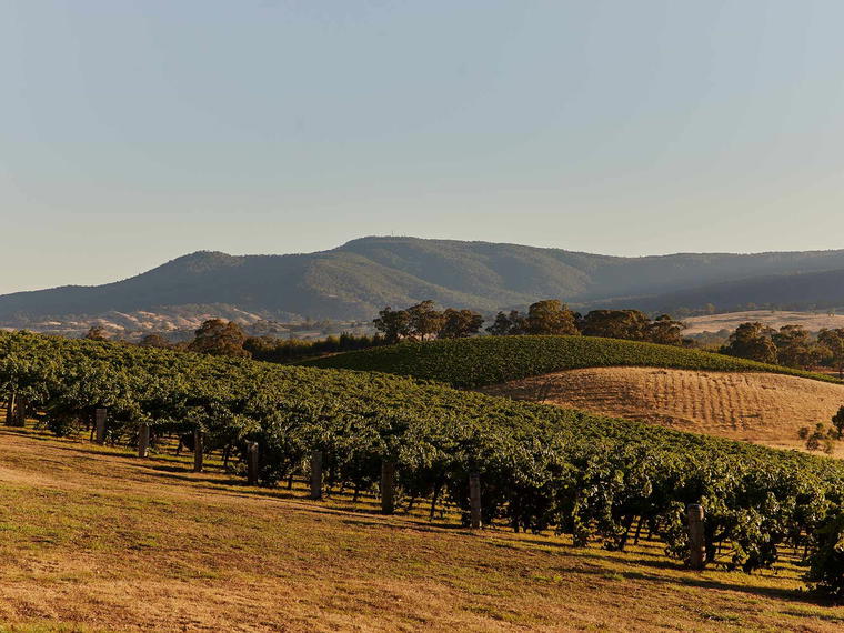 Mount Langi Ghiran, Grampians, Australia