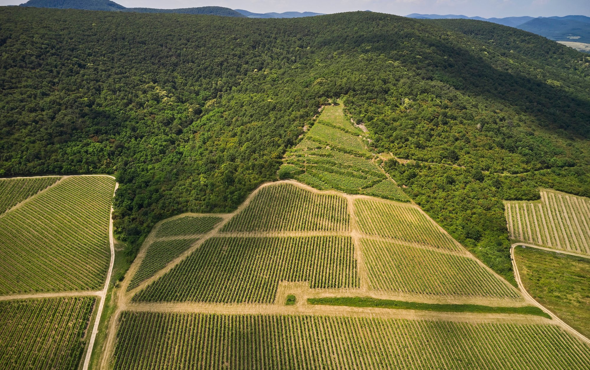 Grand Tokaj winery in Tolcsva, Hungary