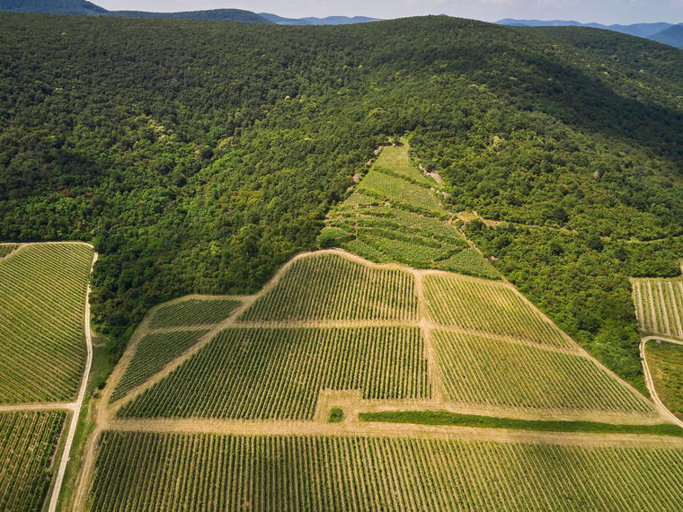 Grand Tokaj, Tolcsva, Hungary