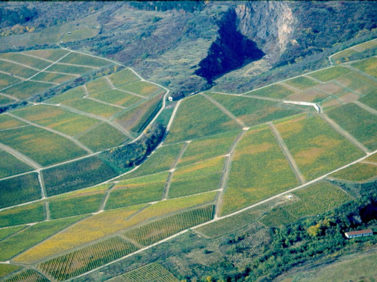 Tokaj Hétszőlő, Tokaj, Hungary