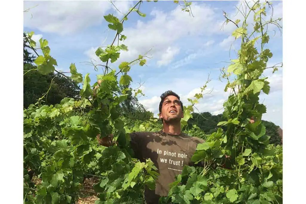 Domaine Thomas Bouley winery in Volnay, France