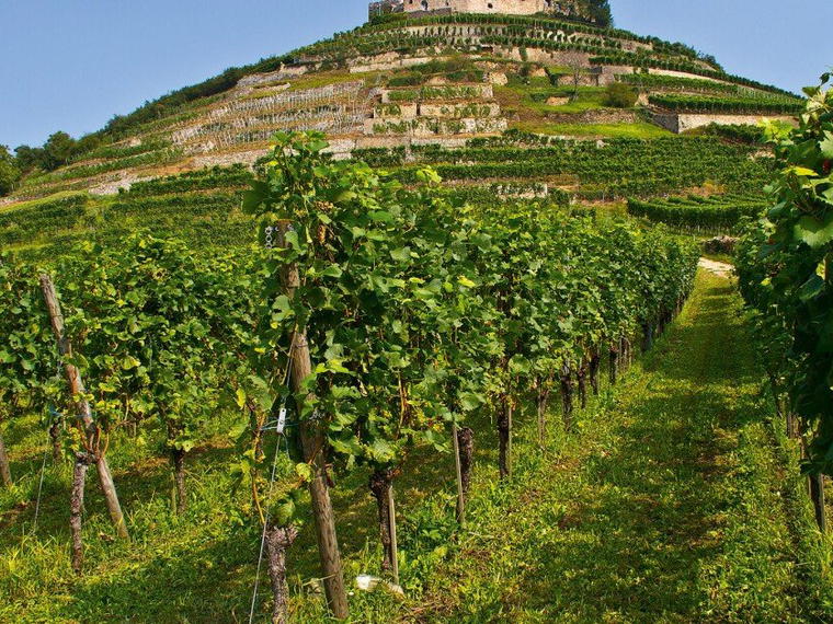 Weingut Fritz Waßmer, Bad Krozingen-Schlatt, Germany